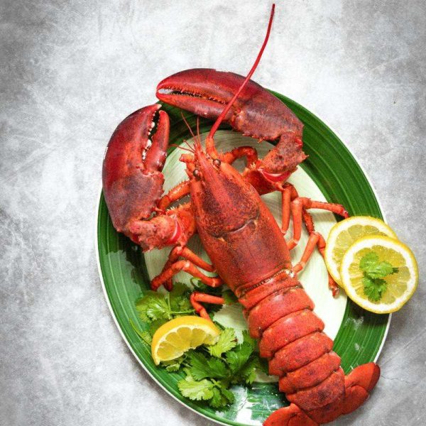 Lobster Thermidor